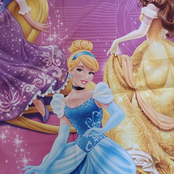 💕WINDOWS PANELS💕DISNEY PRINCESS💕 - Picture 3 of 8